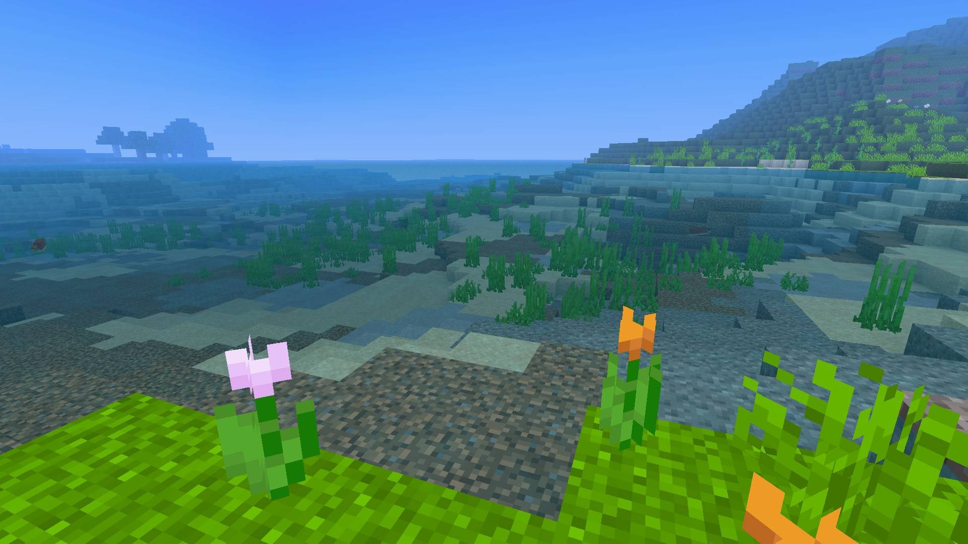 Thumbnail 1000056980.jpg