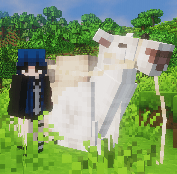 Screenshot 2026-02-21 165021.png