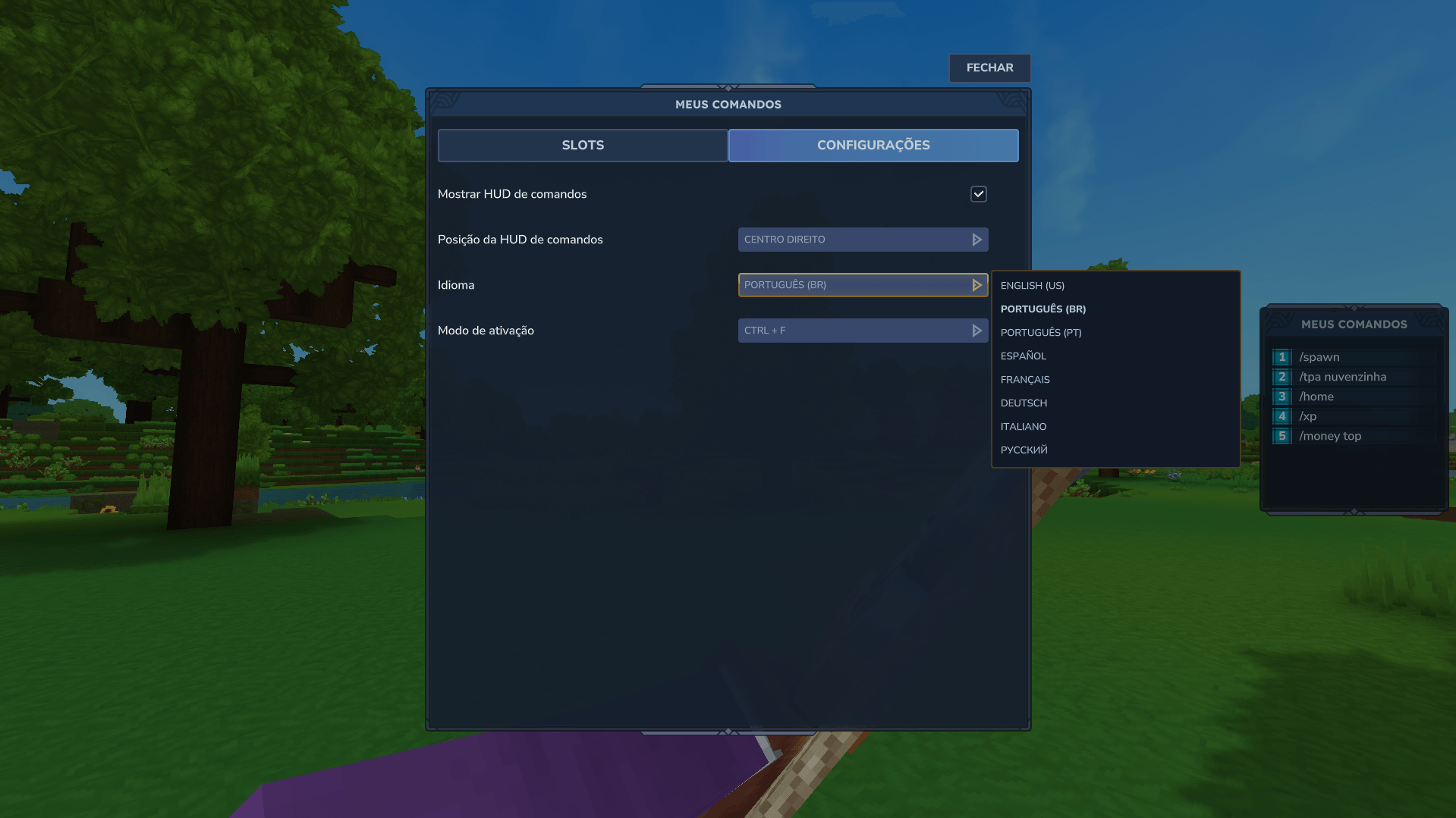 Change Language - EasyCommands.png