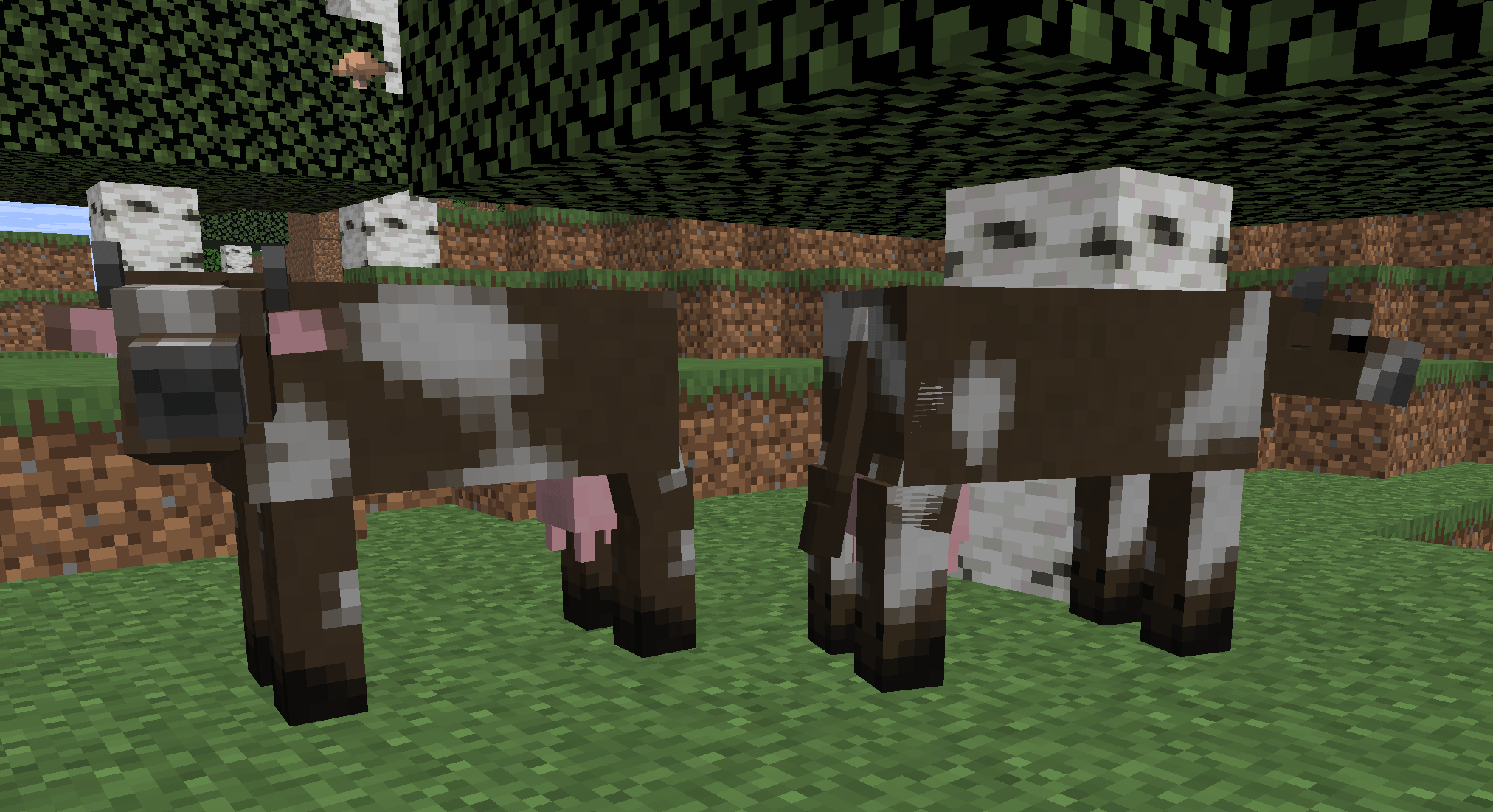 cowexample1.png