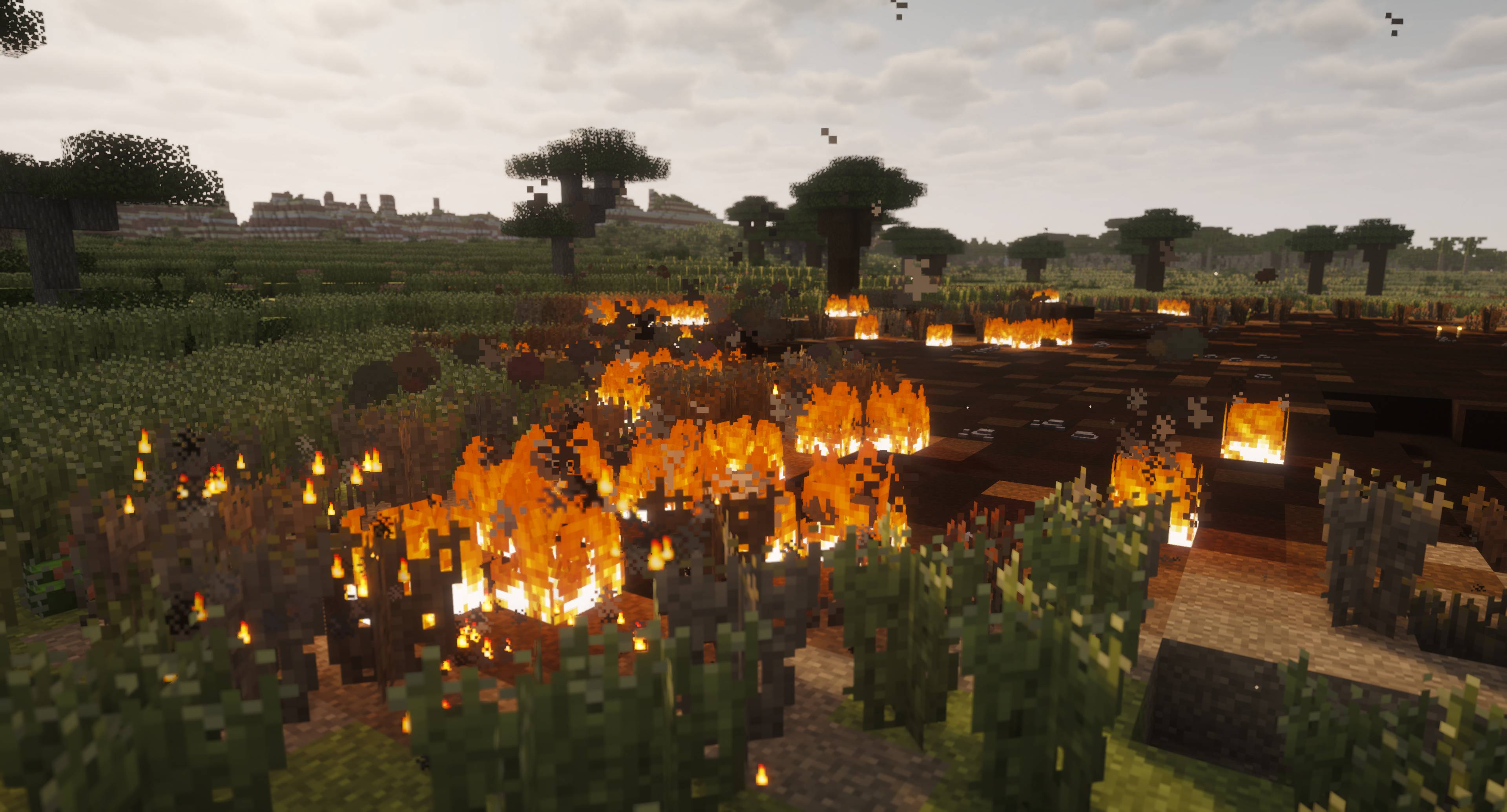 Burning Grass