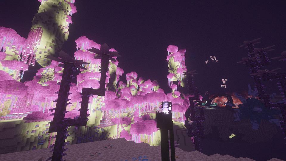THE END biomes.jpg
