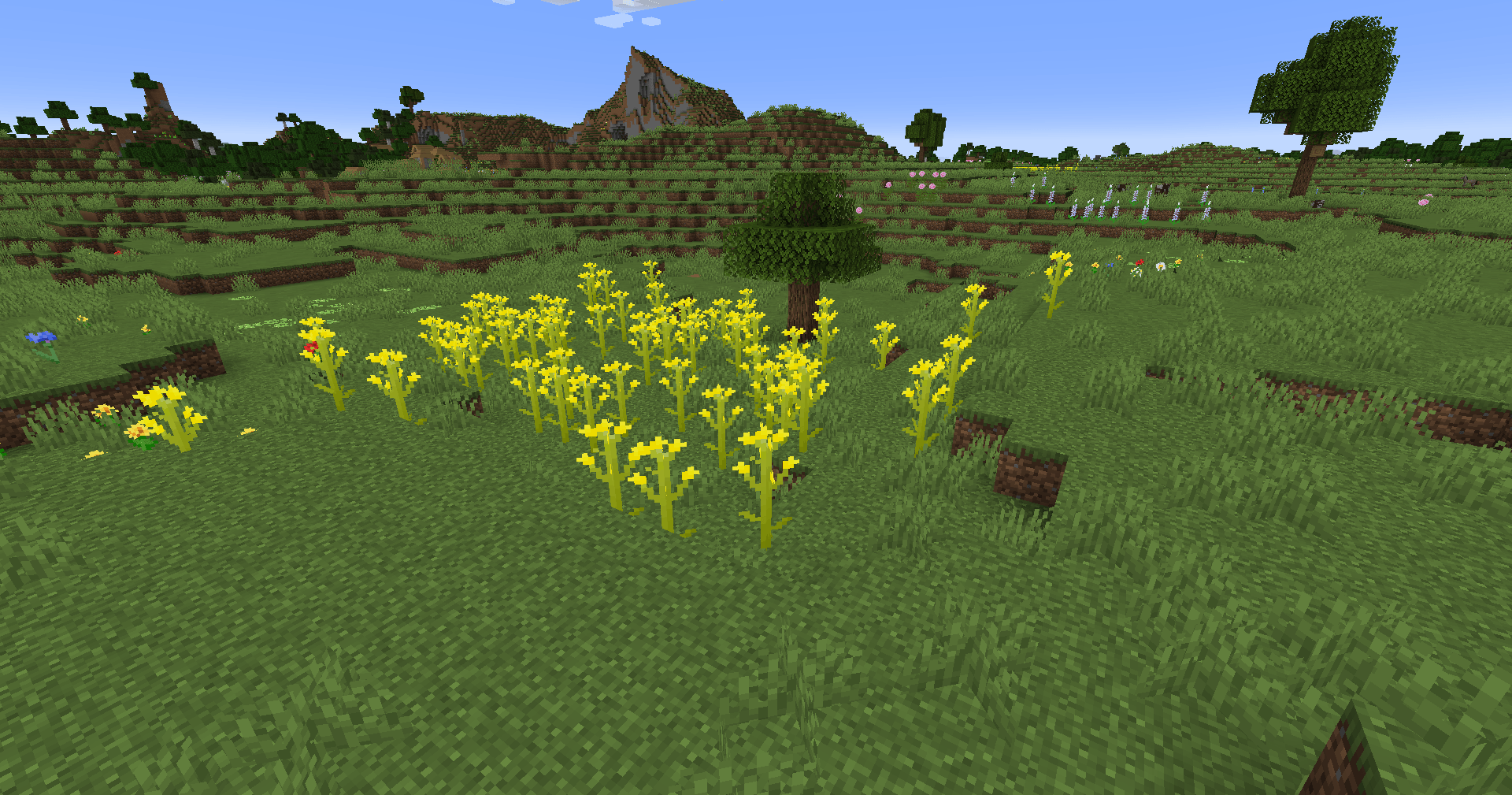 Canola, Three Leaf Clovers, Sky-Blue Lupine, and Milkweed can all be seen in this screenshot!