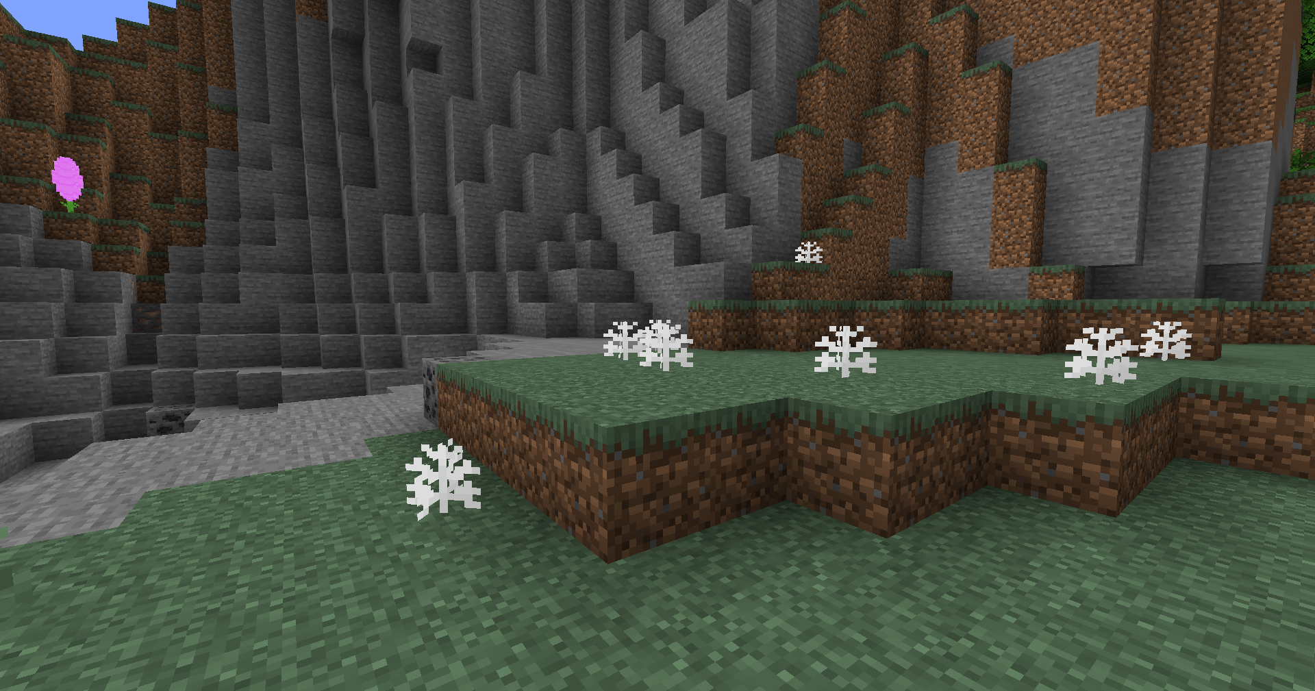 A look at Dusty Millers and True Lavender in this mod. Dusty Millers can even grow on stone!