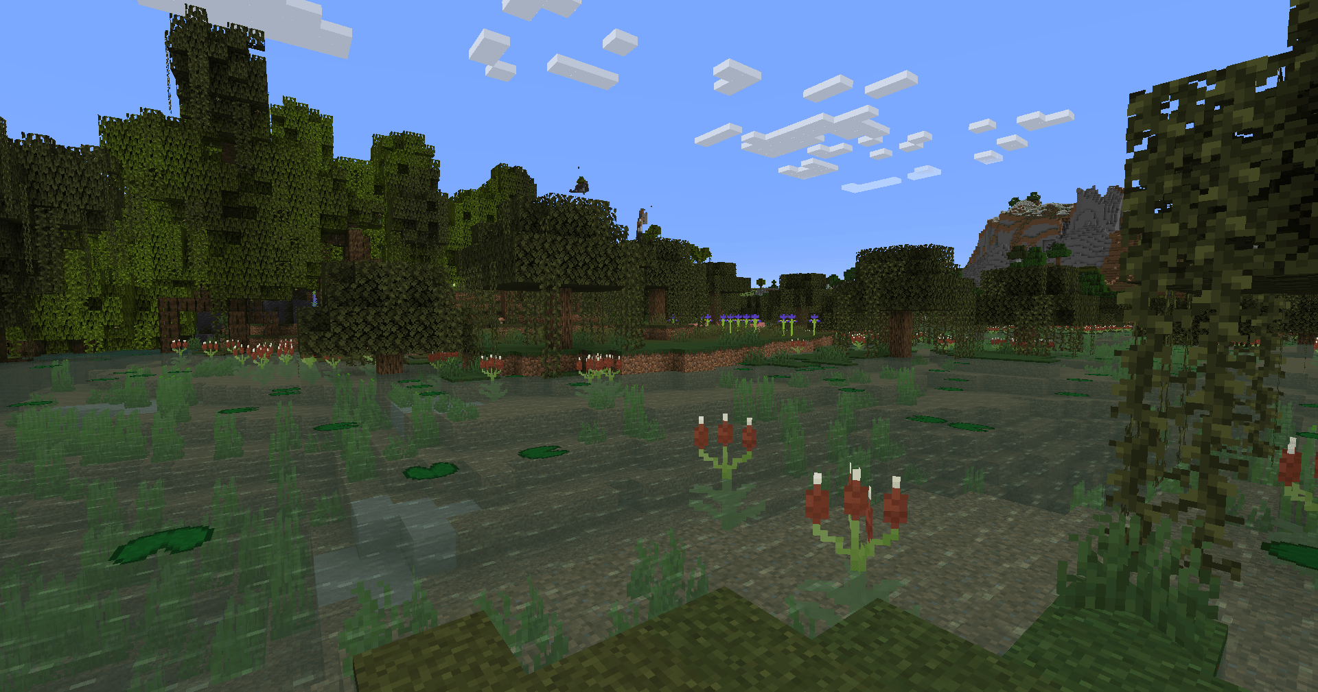 Cattails! Also seen are Great Blue Lobelia and Blue Flag!