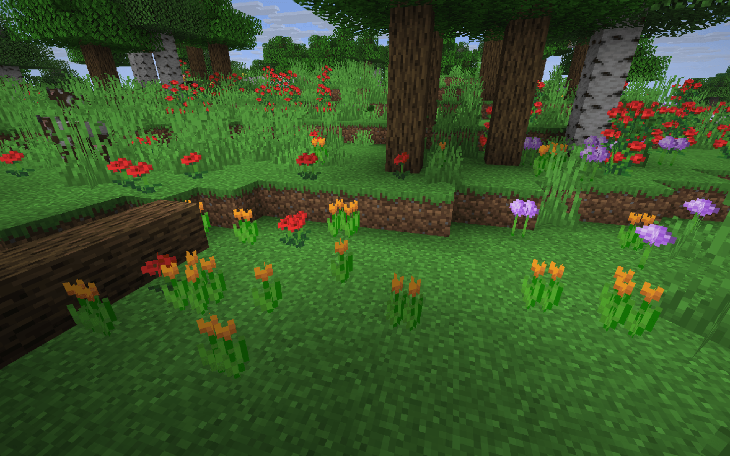 screenshot thumbnail