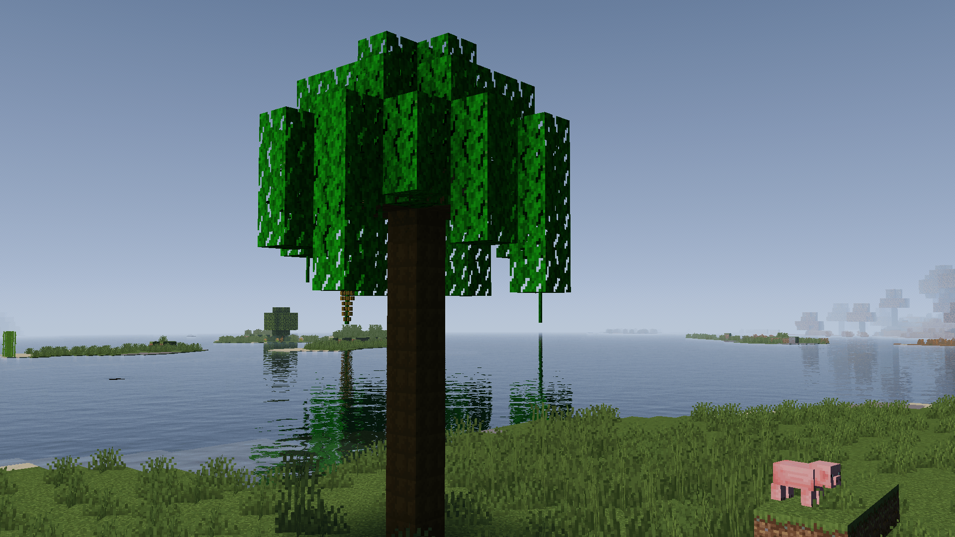 DatePalmTree.png