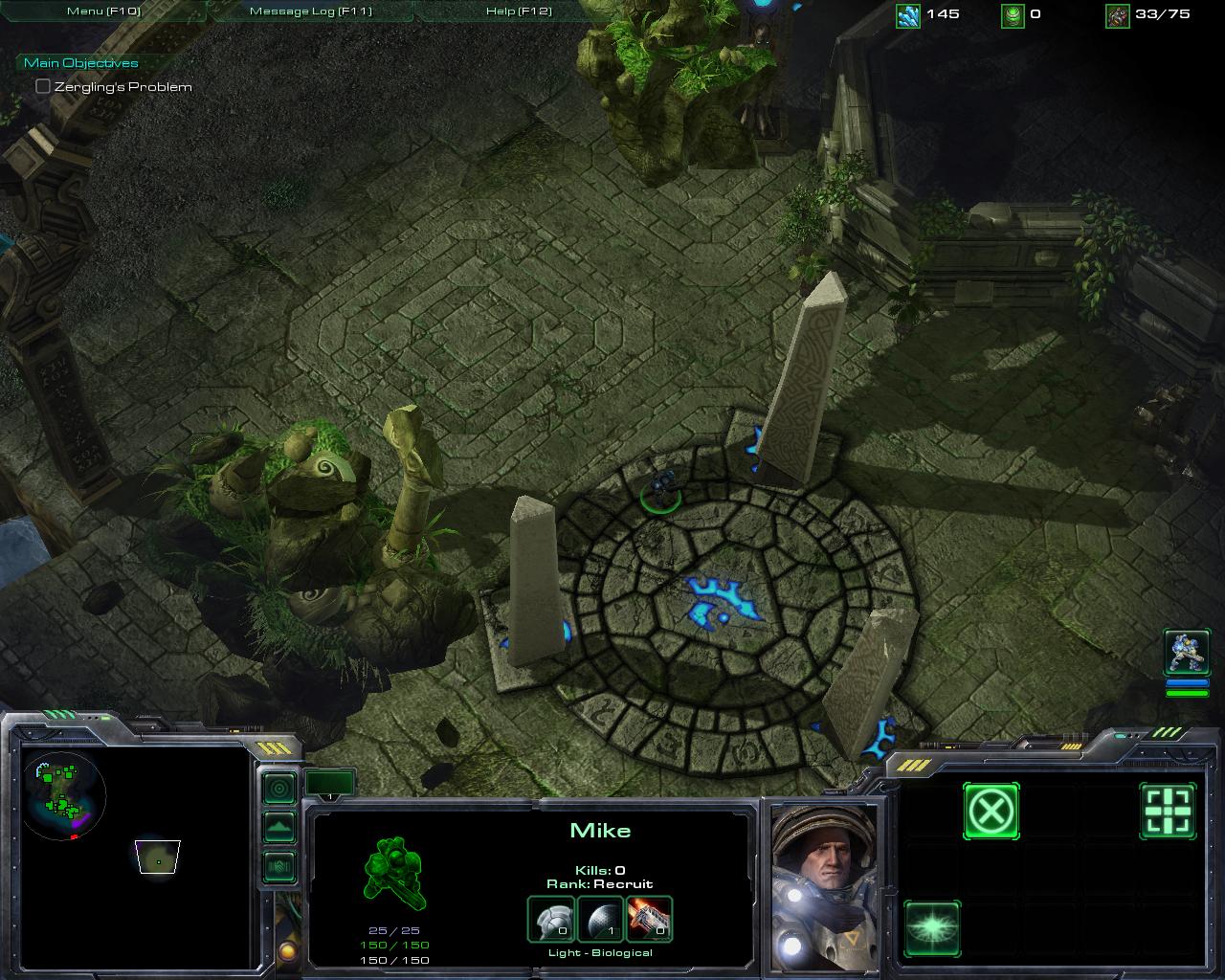 Into the Protoss Temple