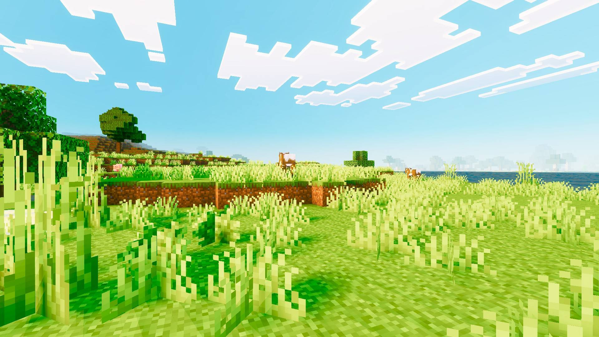 Thumbnail Mera_Vibrant_11.jpg