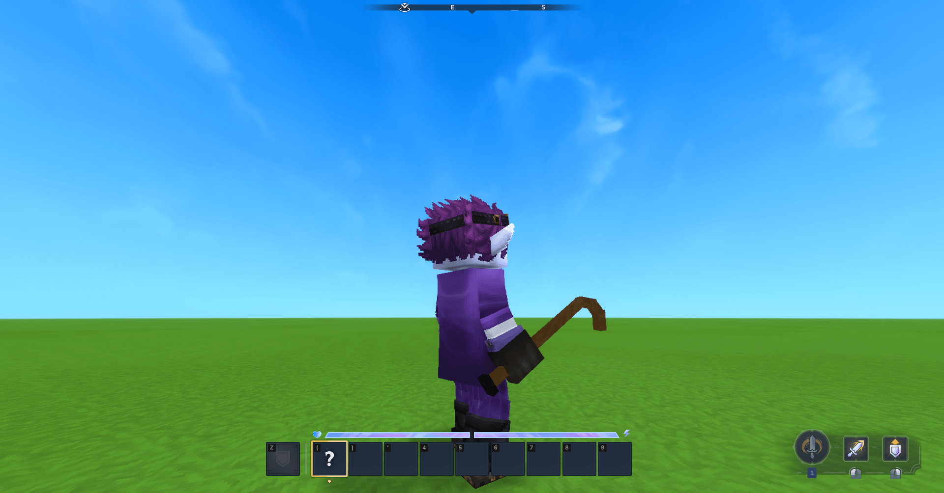 Walking stick