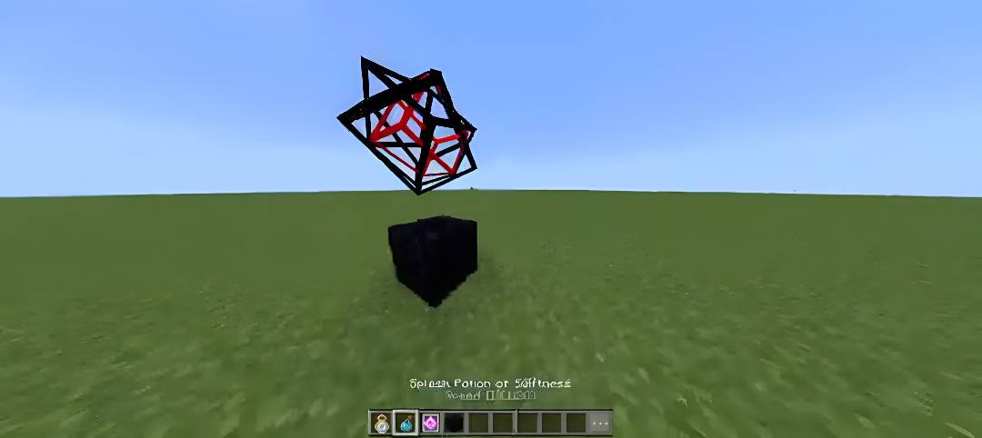 1000065556.jpg