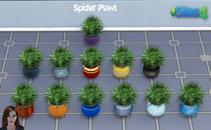 Spider Plant swatches