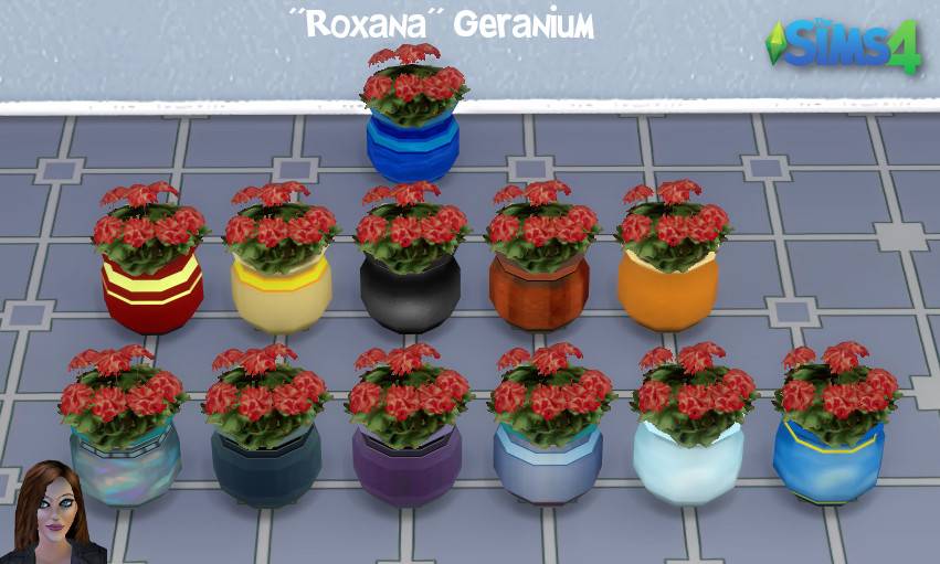 Roxana Geranium swatches