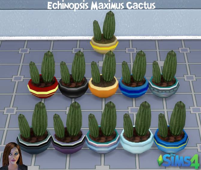 Thumbnail Echinopsis Maximus Cactus swatches