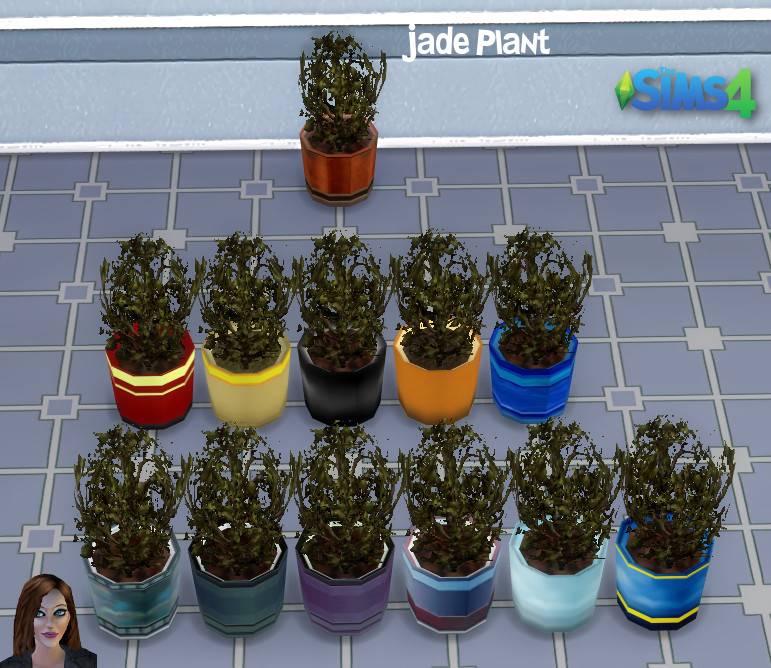 Thumbnail Jade Plant swatches
