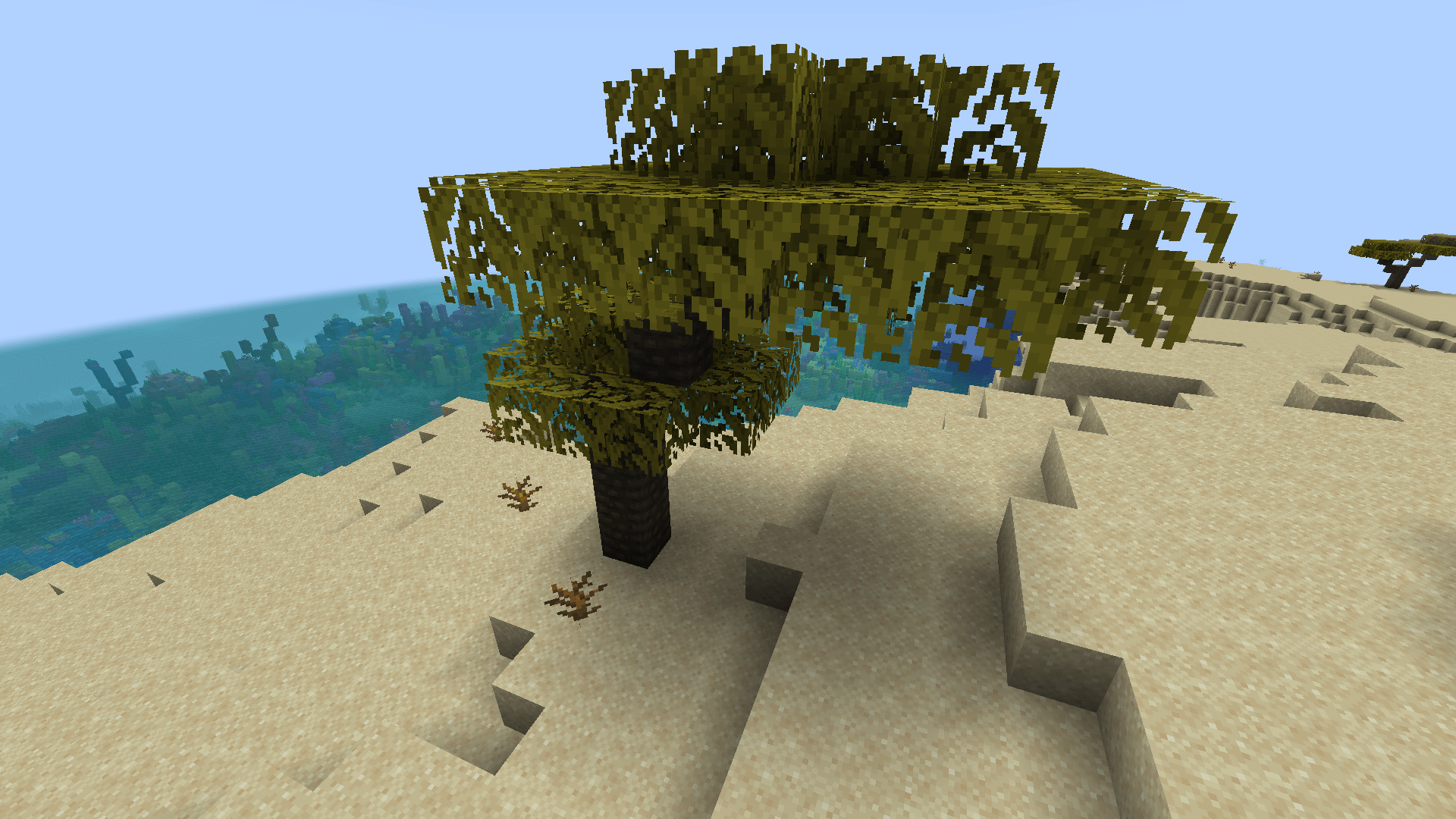 New mango trees generate in the world. You can find them growing in... deserts!