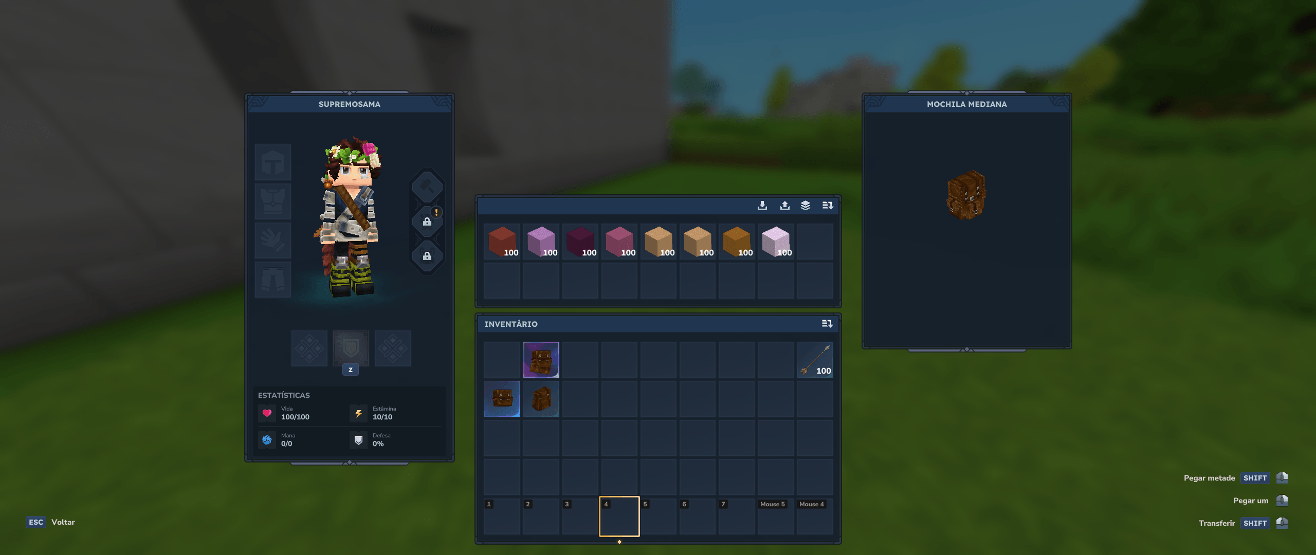 Hytale2026-03-03_22-42-21.png
