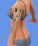 left arm pic 2.png