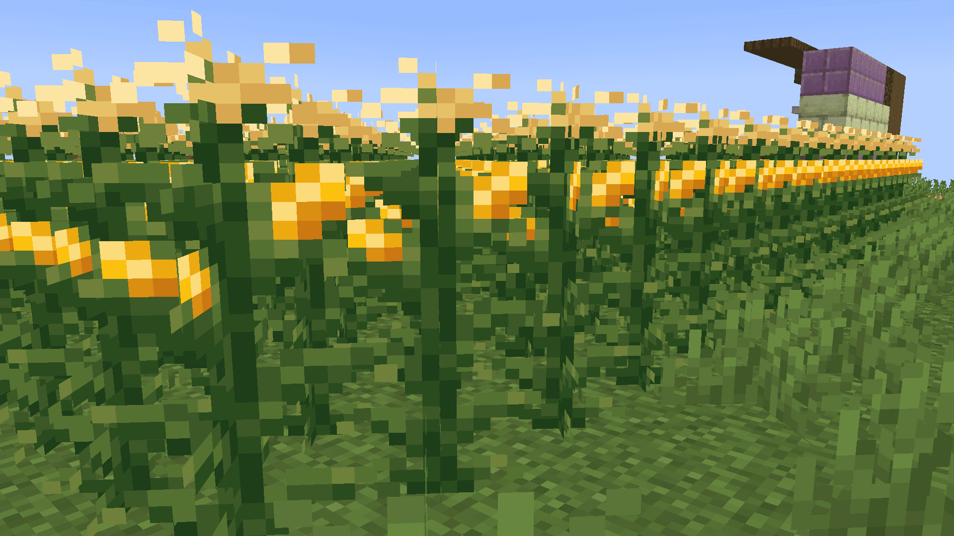 2026-03-06_11.06.36.png