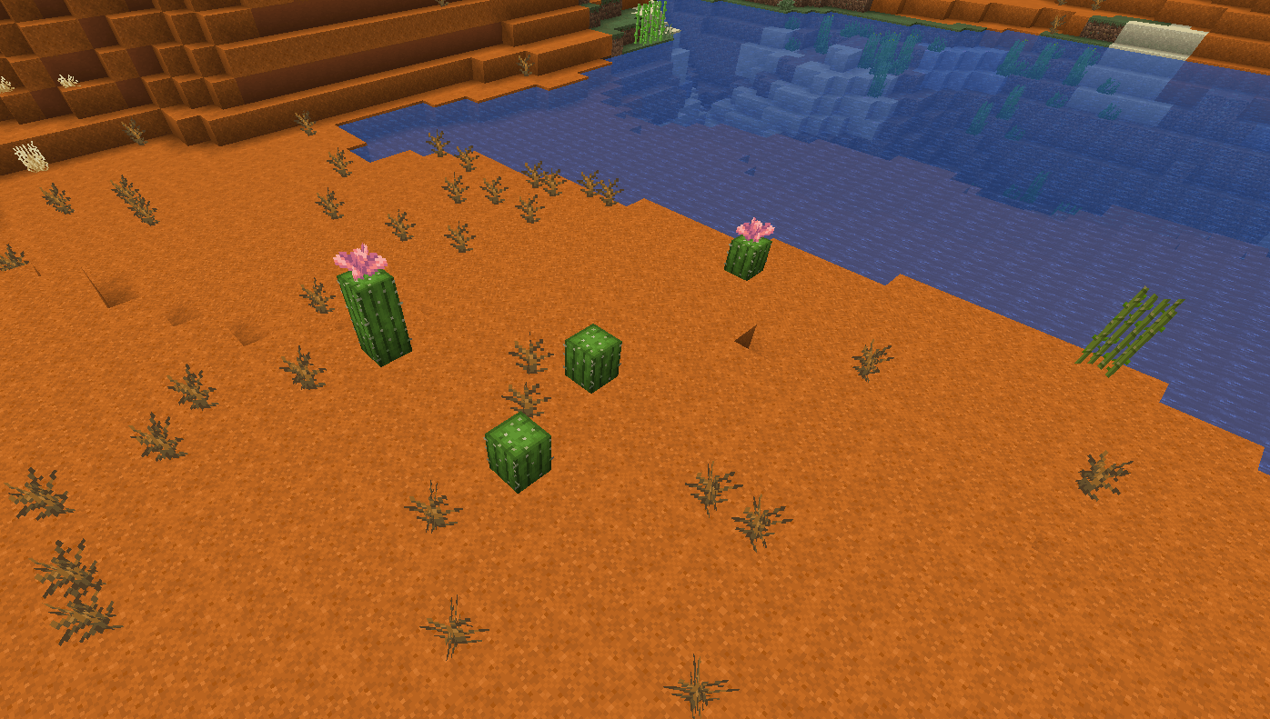 Cactus Flowers generated naturally on cacti