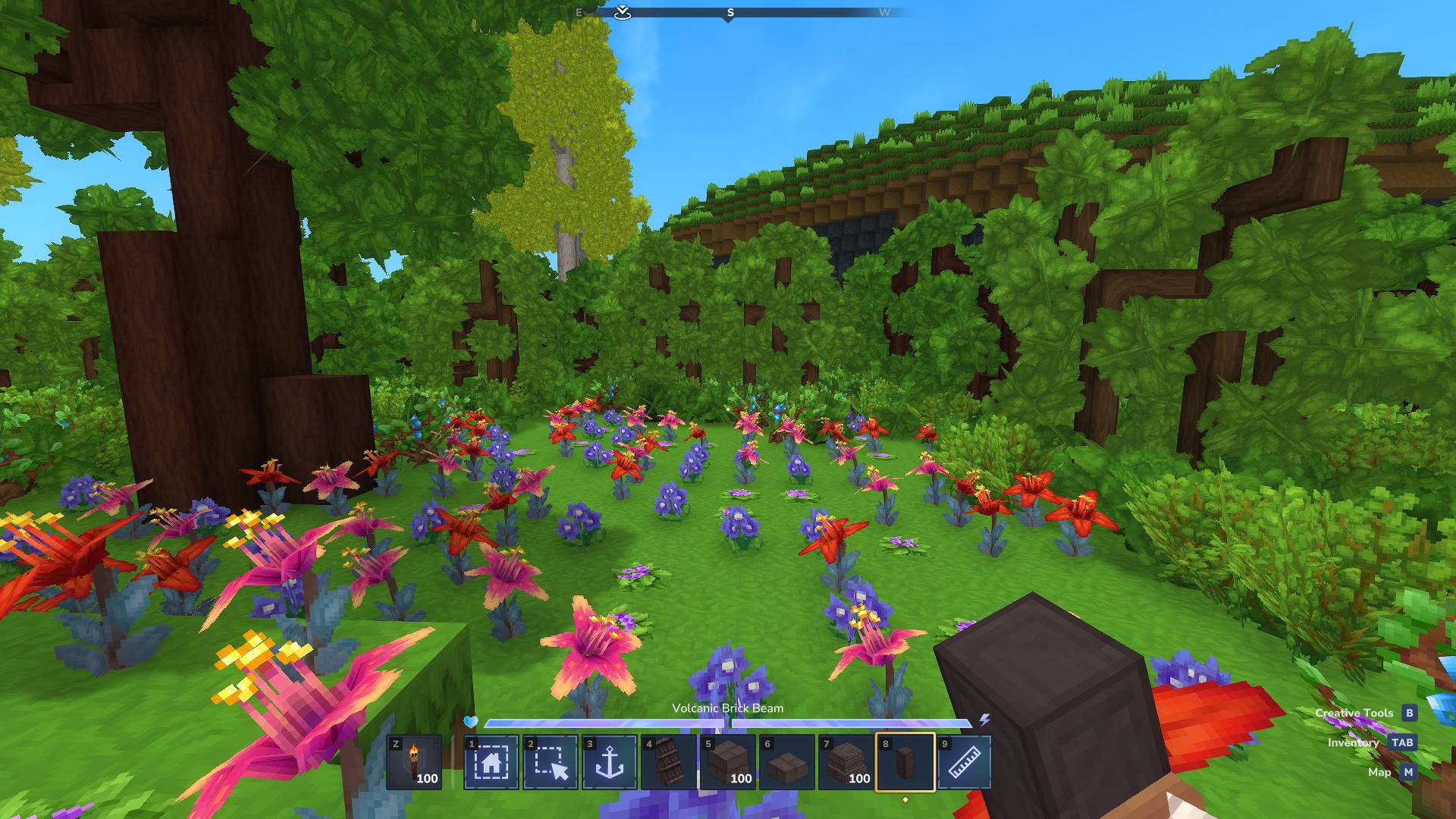 Hytale_Oxygen_Forrest.jpeg