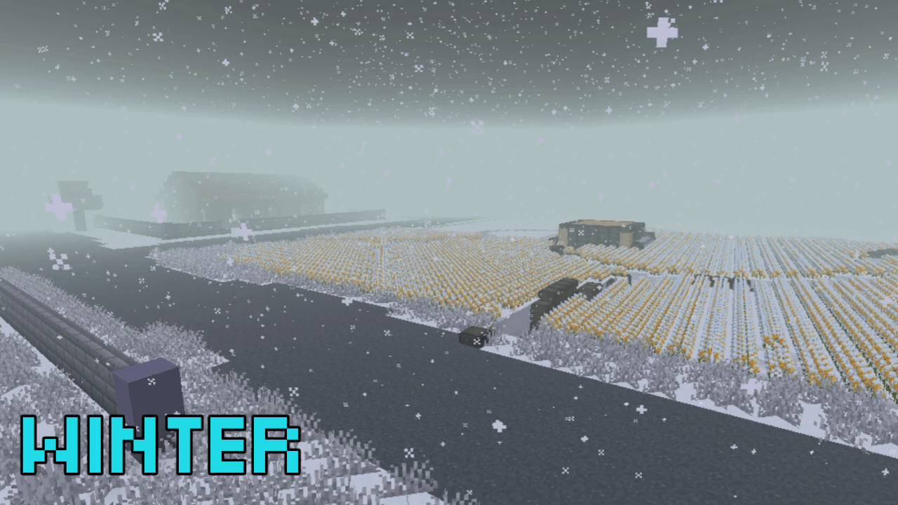 WINTER
