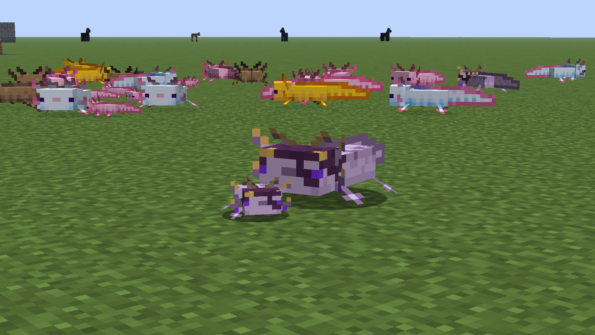 A preview of the Amethyst Axolotl replacing the rare blue variant, shown here in both adult and baby forms