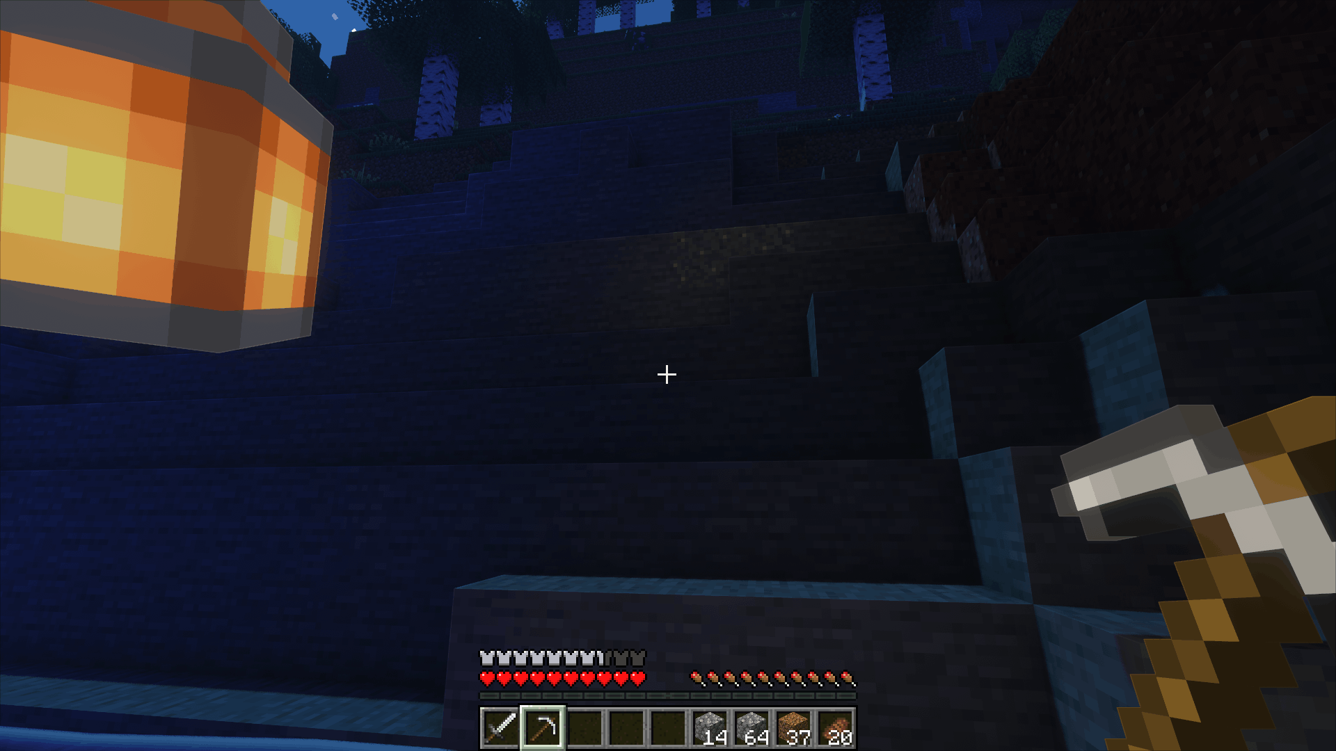 First-Person View