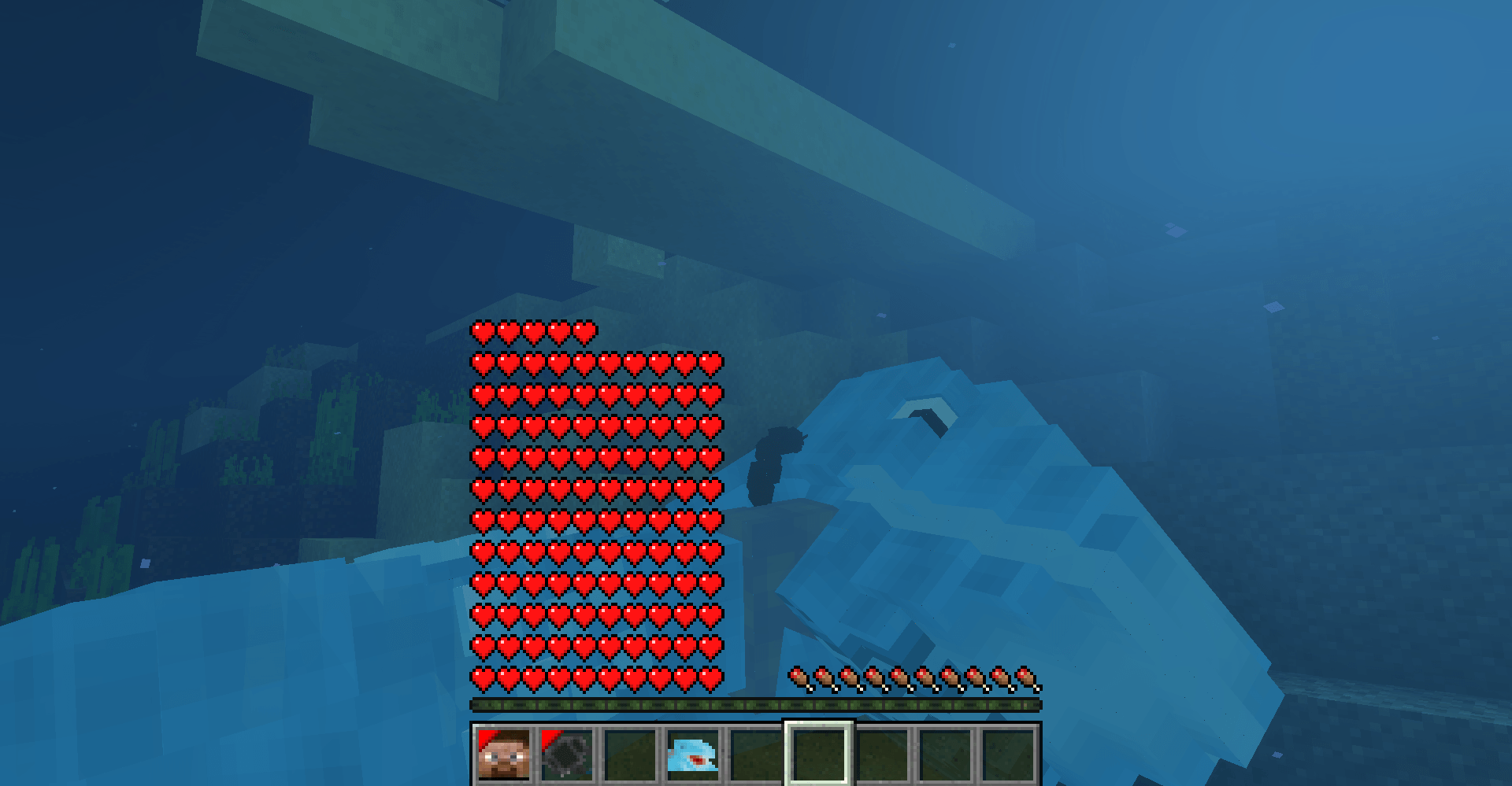 Thumbnail Thumpback in the water.png