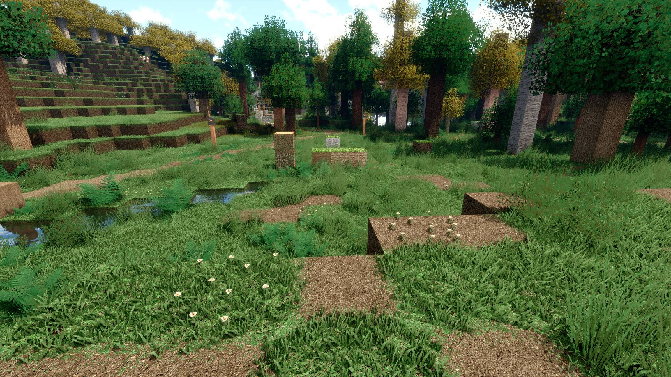 256x version with extreme + Bliss-Shader