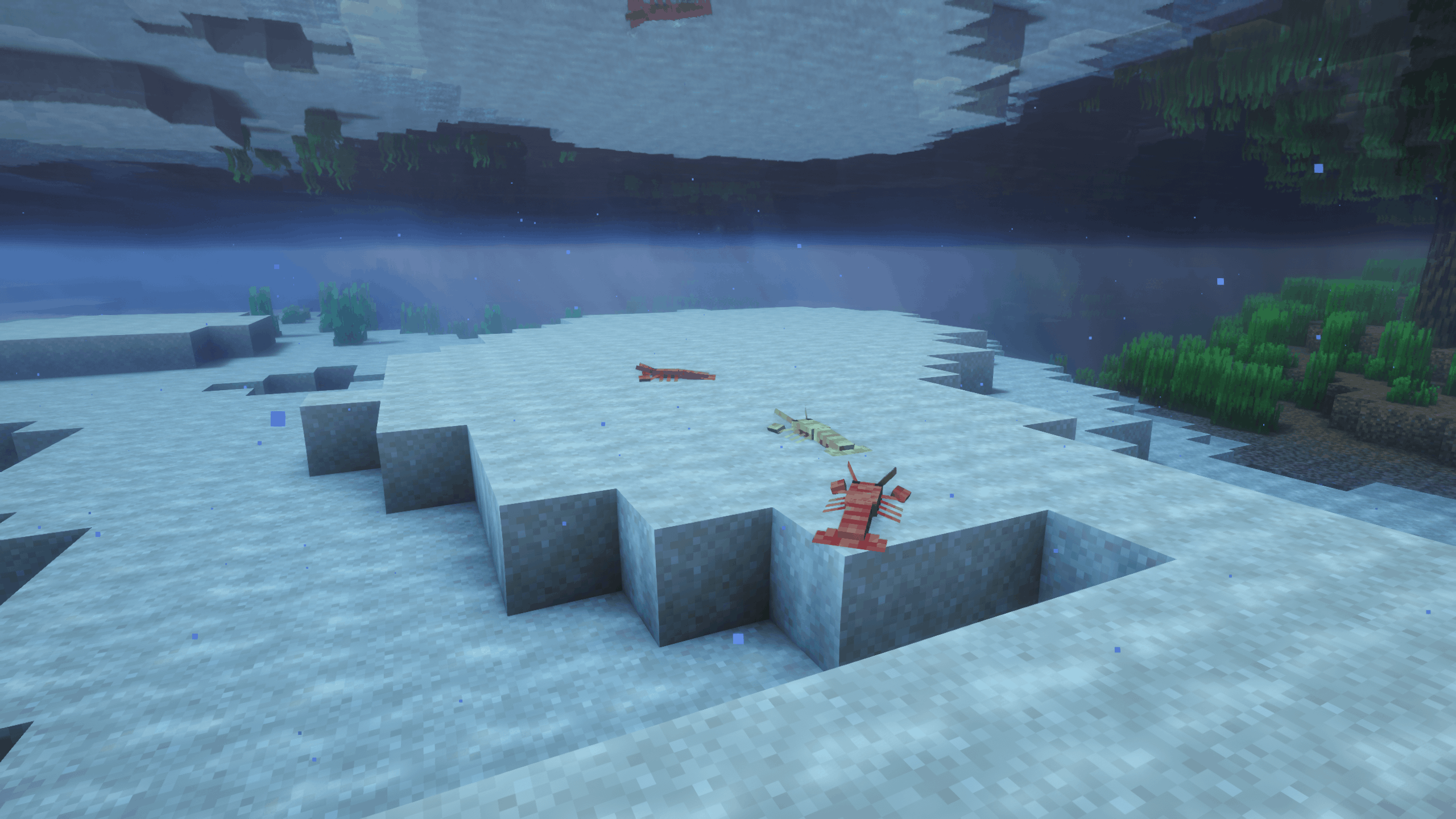 Thumbnail 2026-03-13_22.42.01.png