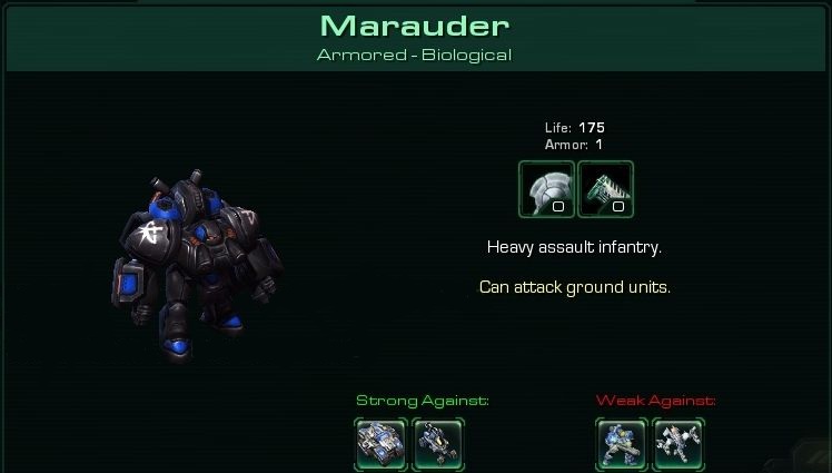 Marauder