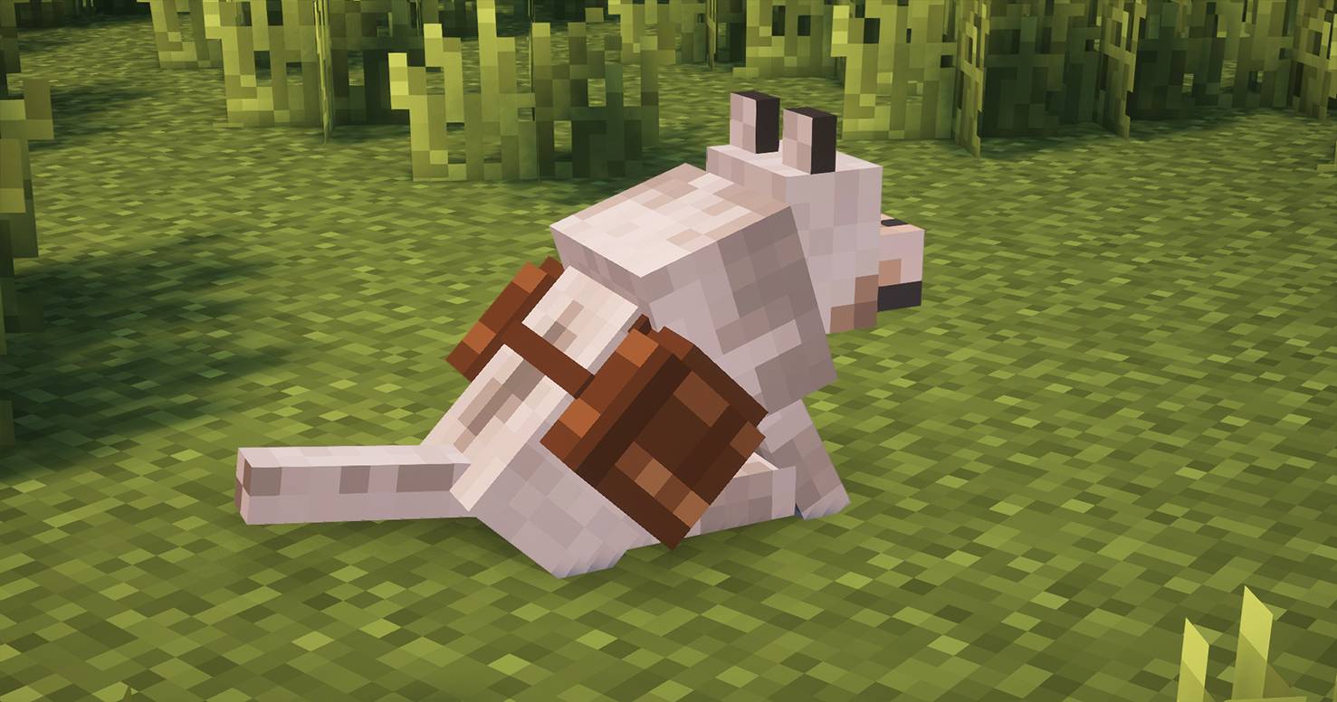 Thumbnail Screenshot 2026-03-1441231 191010.jpg