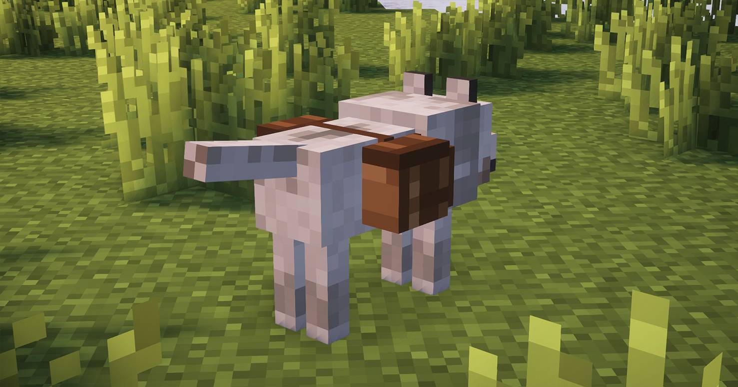 Thumbnail Screenshot 2026-03-14 1921010.jpg