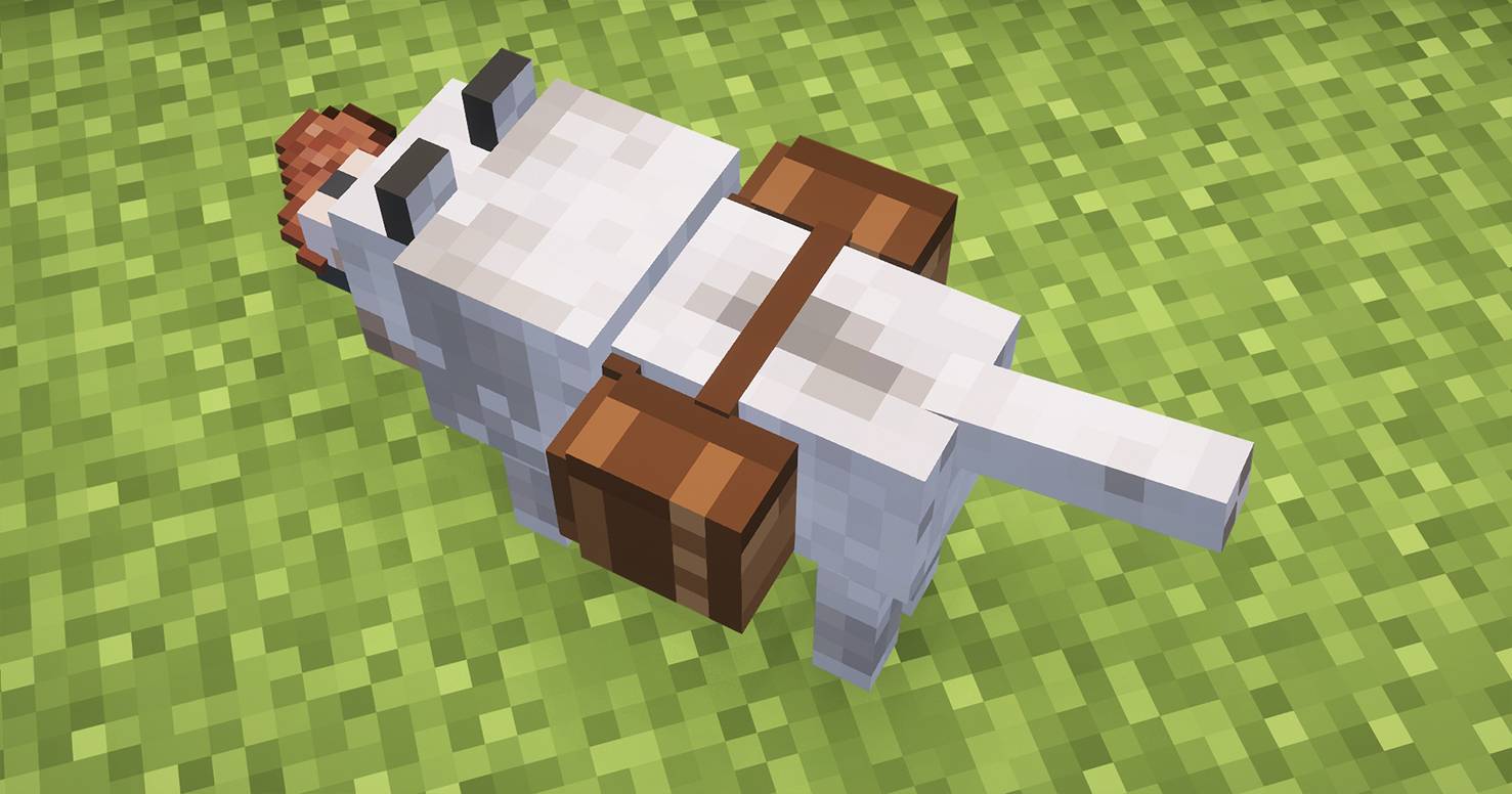 Thumbnail Screenshot 2026-03-14 1921141241010.jpg