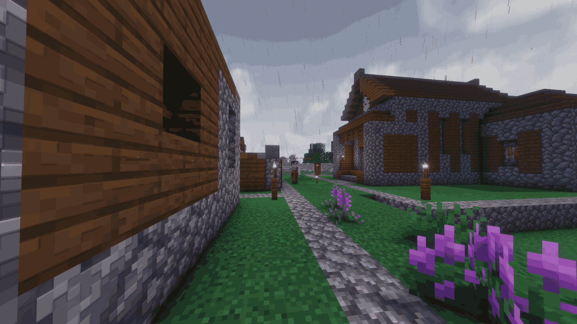 Village (2).png
