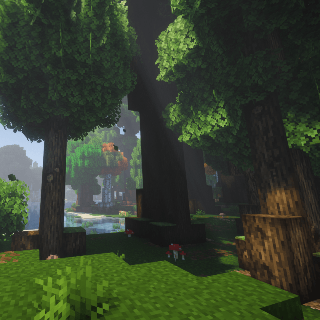 Large oak & dark oak trees at a forest edge, approaching a clearing. Credits to Arboria Biome Enhancement for tree generation. Used Complementary Reimagined shaders, Stay True resource pack.