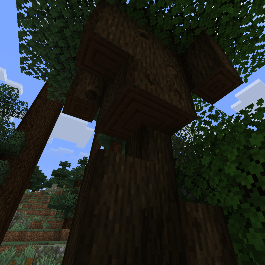 A cross section view of a dark oak tree being chopped down, showing the connected growth rings of living wood.