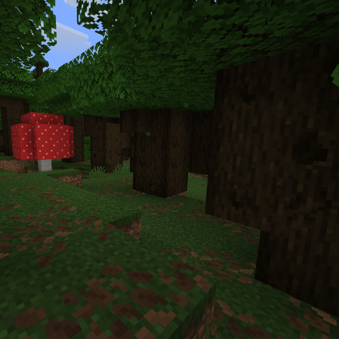 Thumbnail Dark oak trees in a forest.
