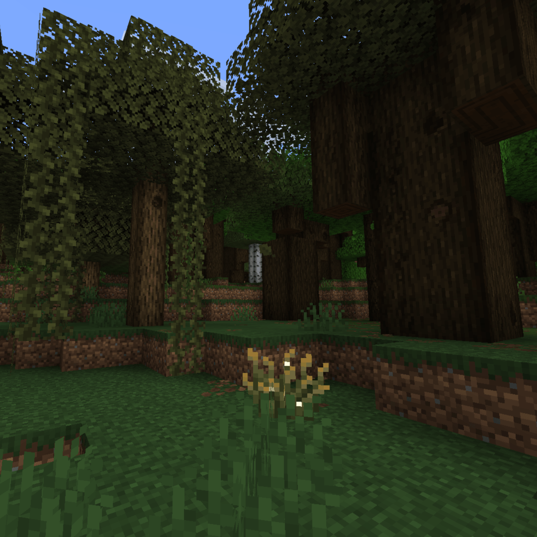 Dark oak trees at the edge of a forest into a swamp.