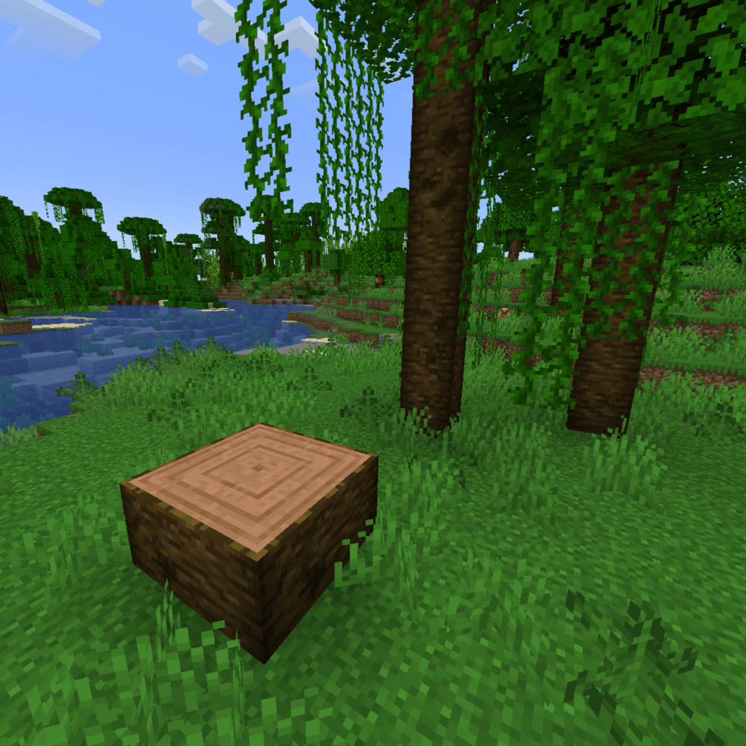 The stump of a chopped down giant jungle tree in a sparse jungle.