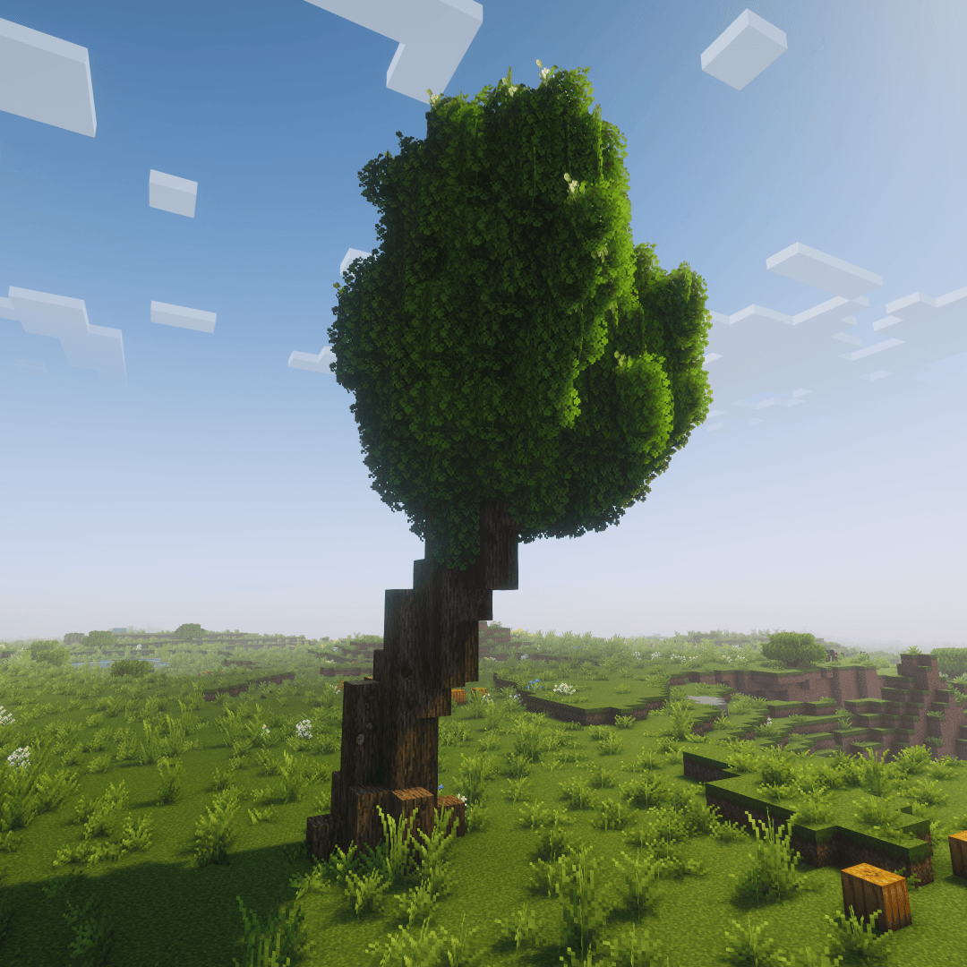 A large leaning oak tree in open plains, displaying some bark variations including blemishes and knots. Credits to Arboria Biome Enhancement for tree generation. Used Complementary Reimagined shaders, Stay True resource pack.