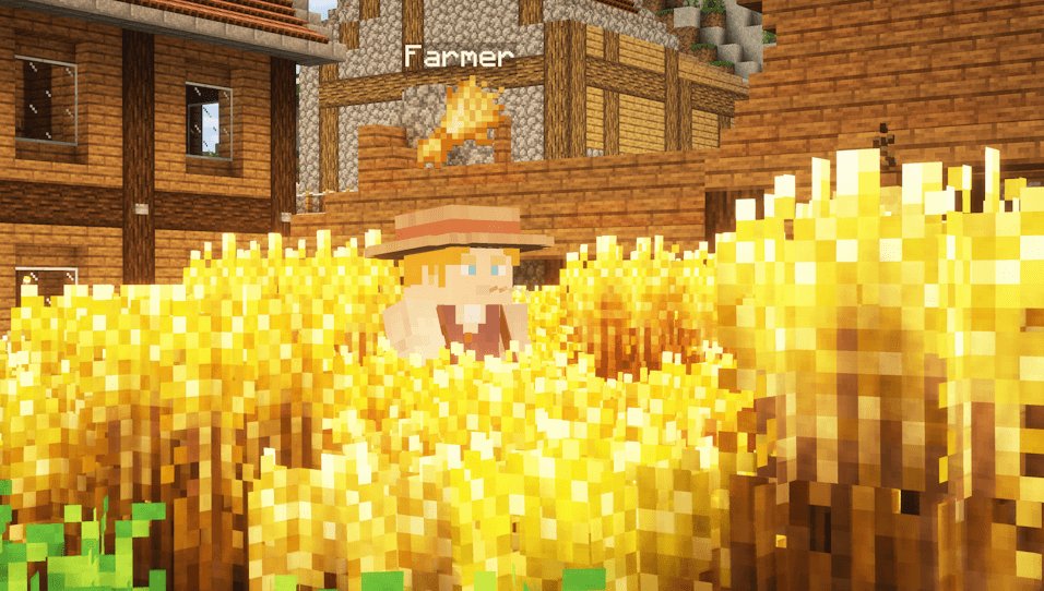 FarmerLowRes.png