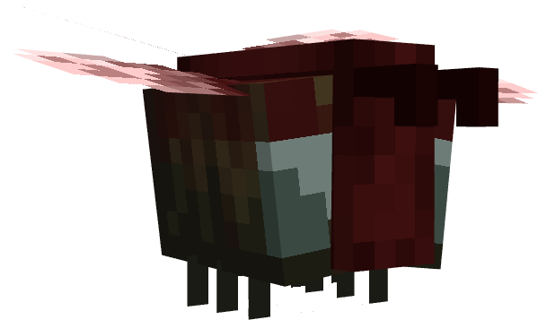 1000010183.png