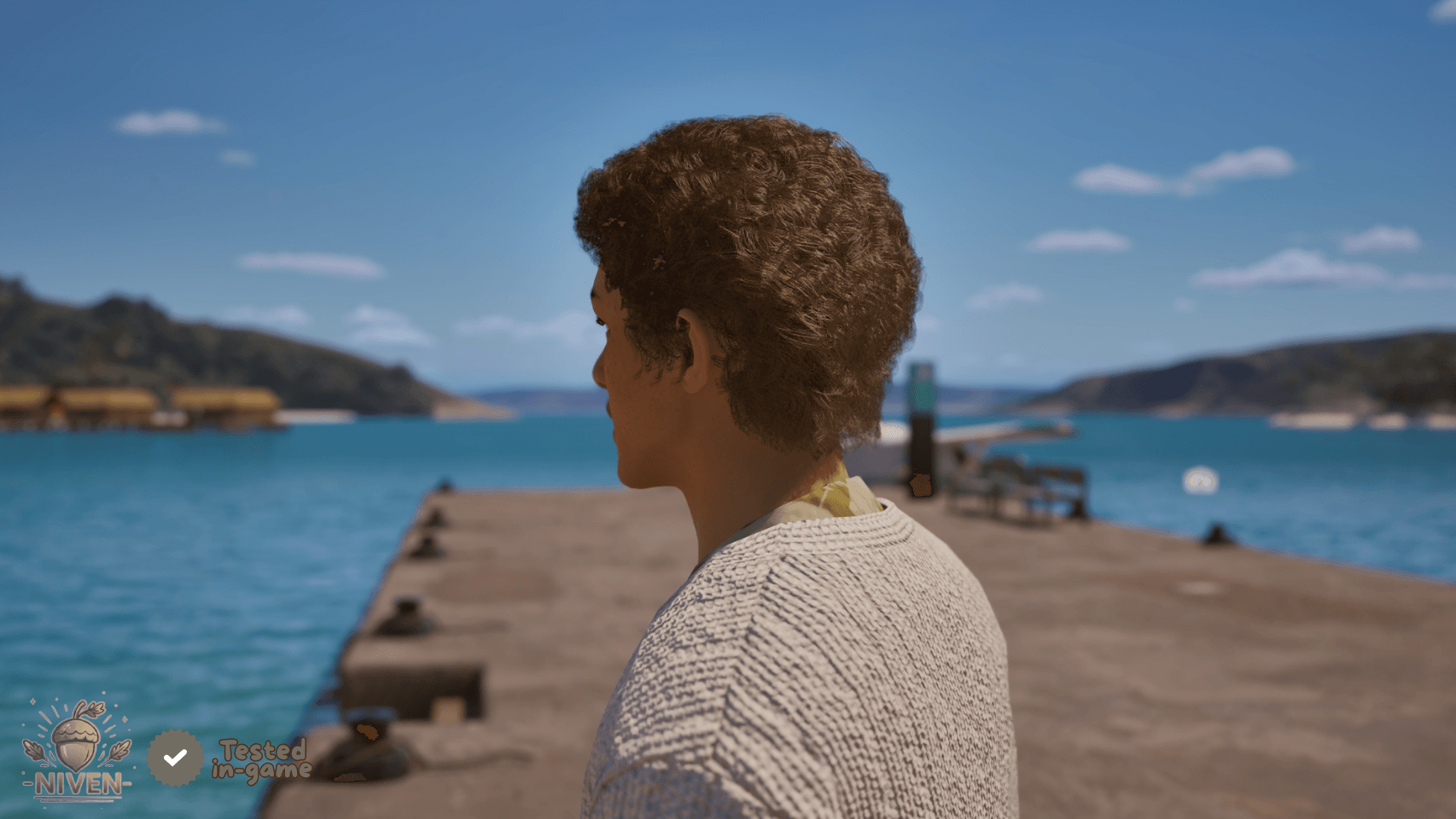 Niven Hair 09 - Morocho Hair (Males)