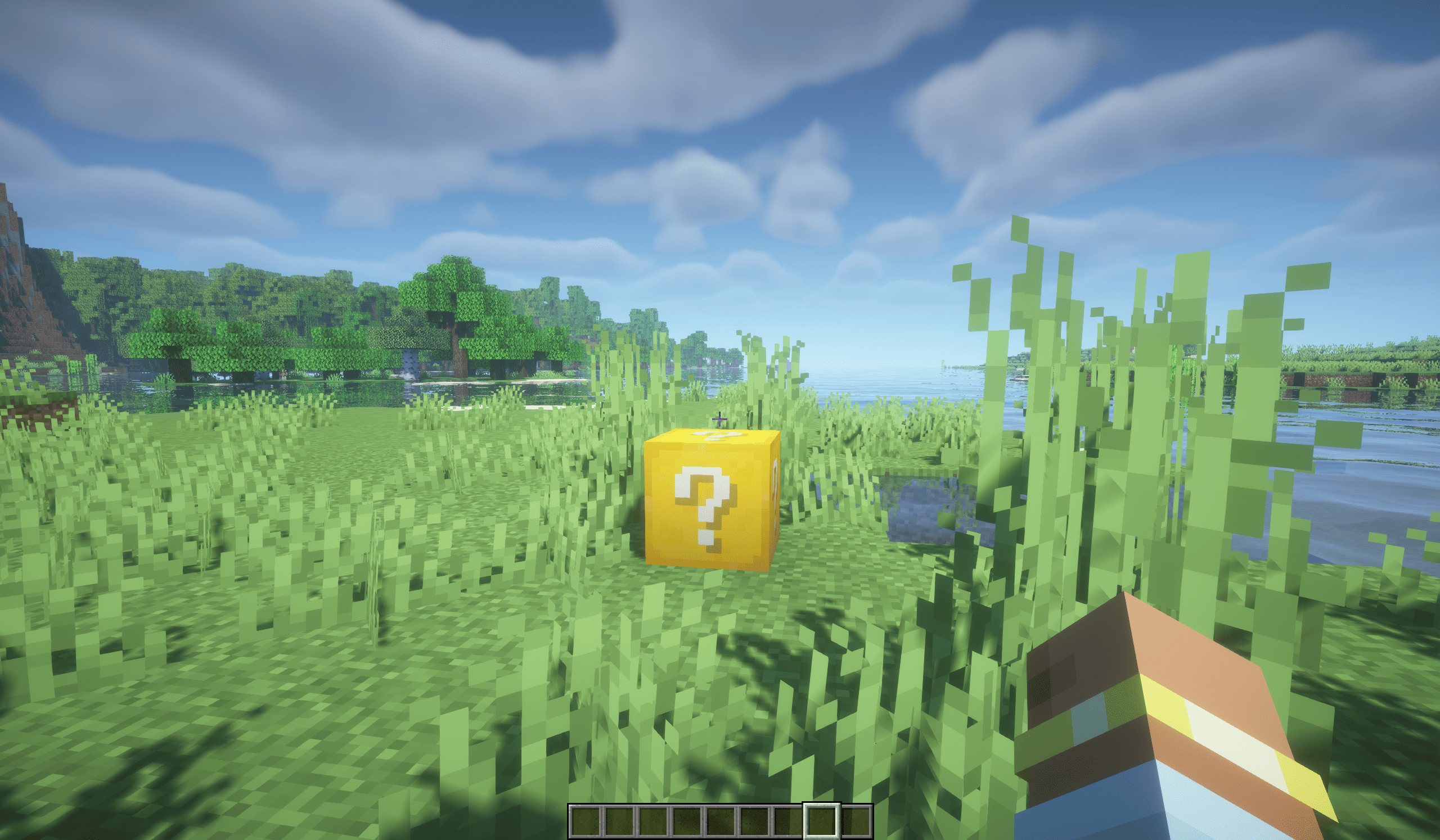 Thumbnail Find a Lucky Block on land in any biome.