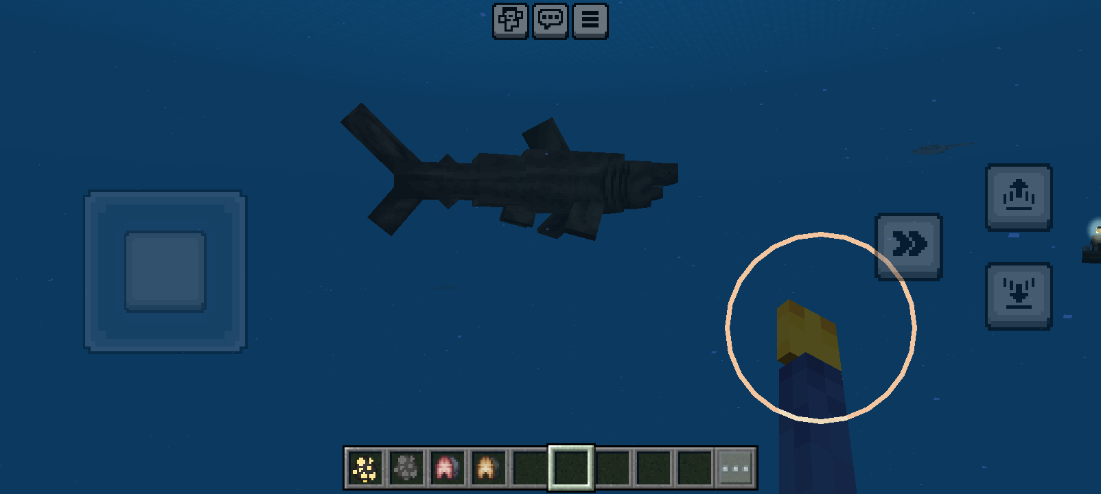 An Basking Shark