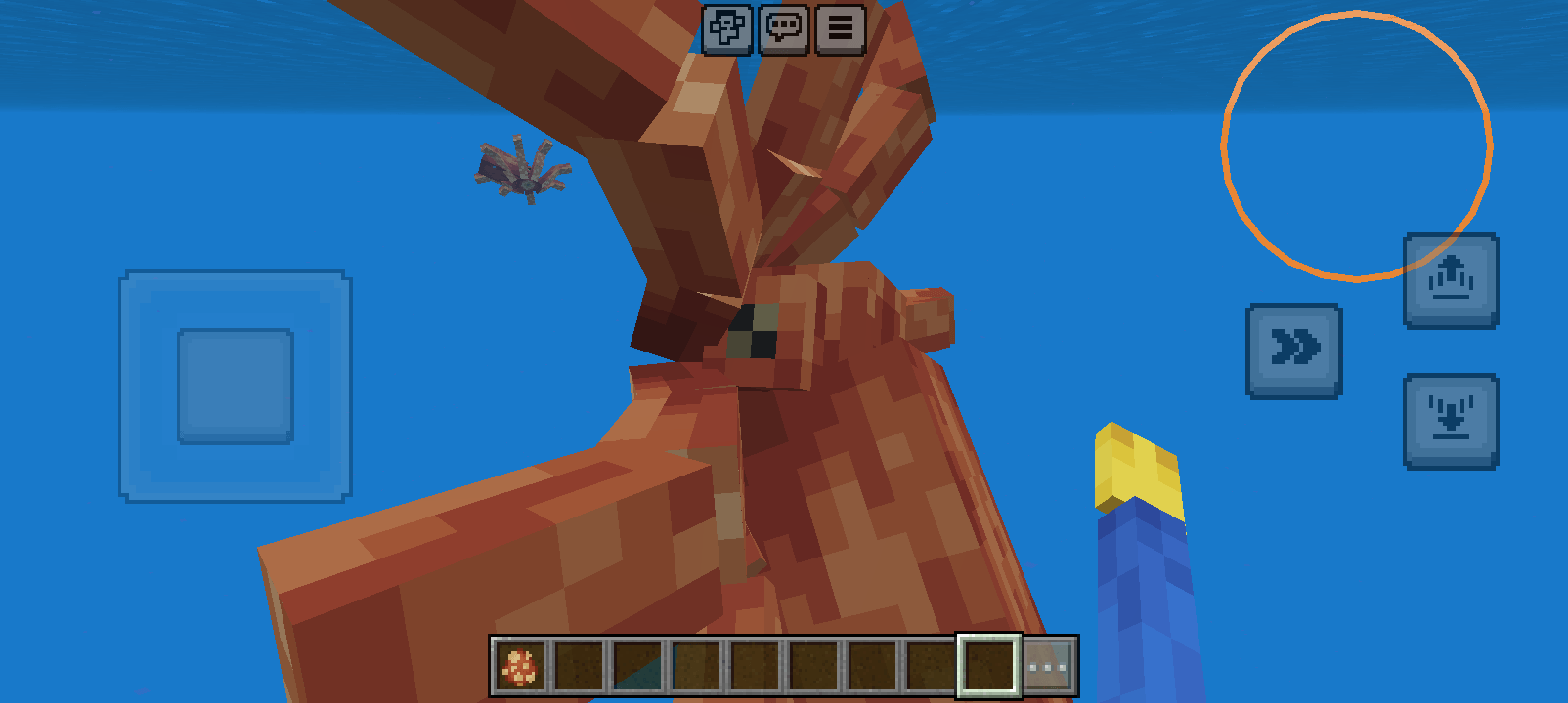 An Octopus
