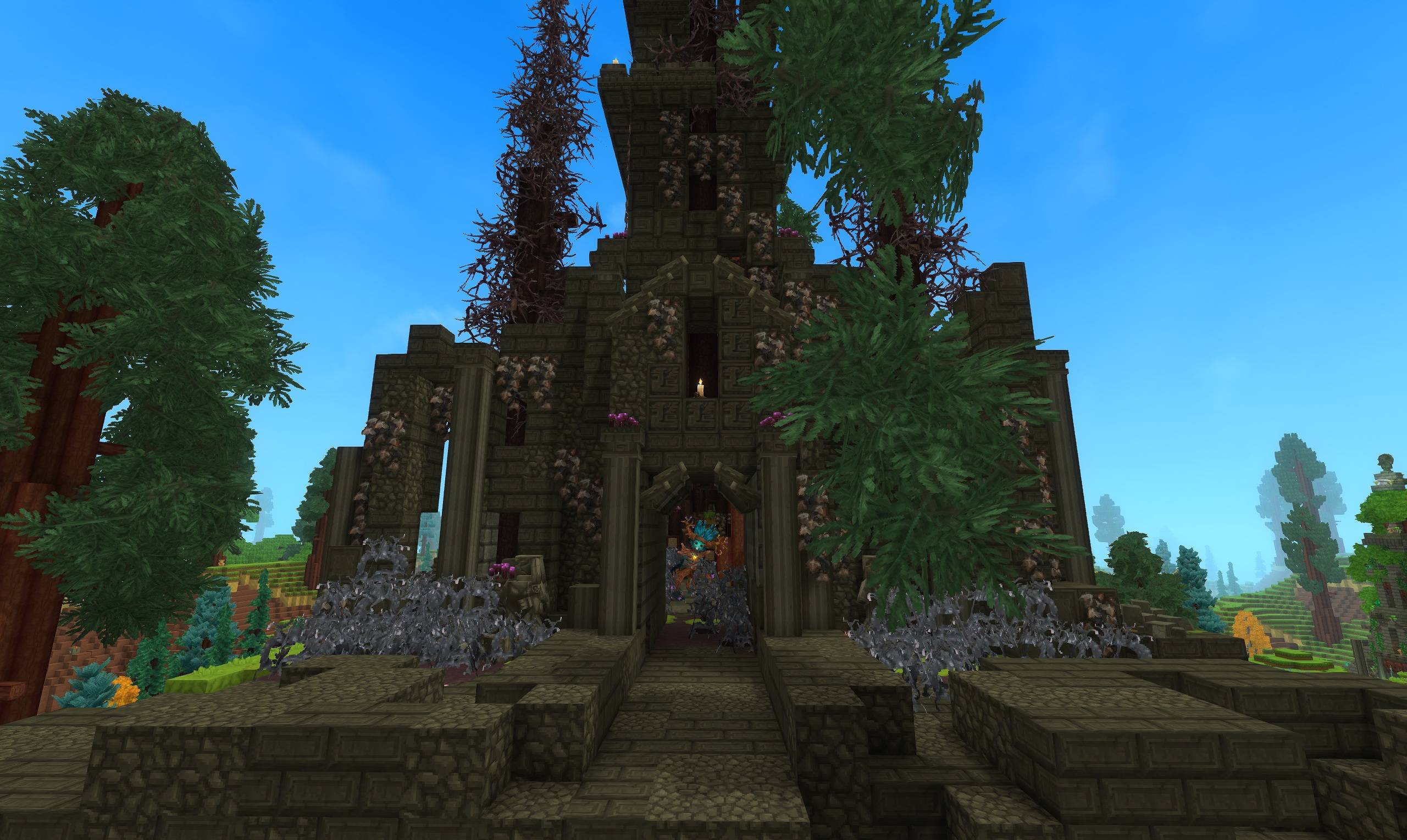 Hedera.jpg