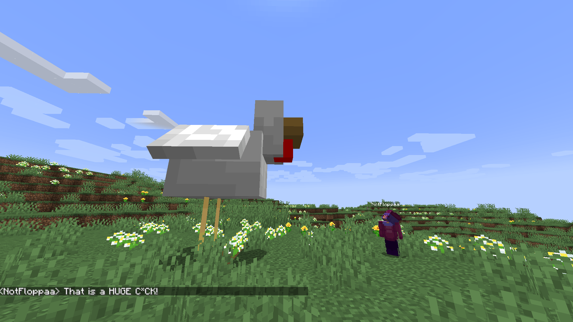 Biiiig chicken